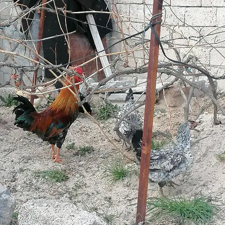 Kapadokya Hatice Ana Tatil Evi Villa